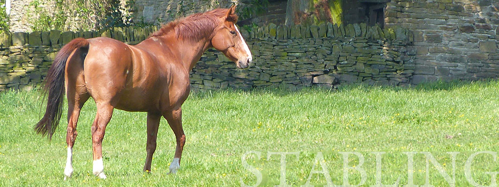 page-header-stabling